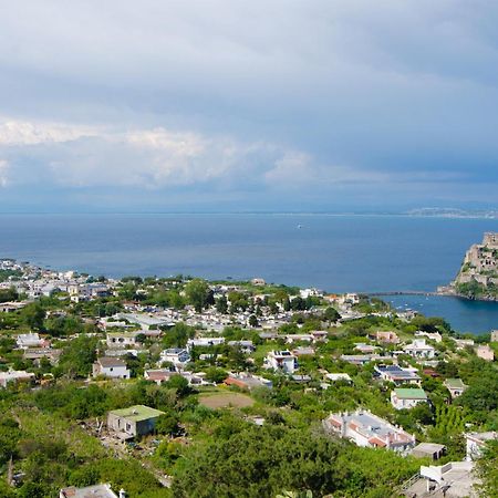 La Capannina - Hotel & Apartments Ischia Dış mekan fotoğraf