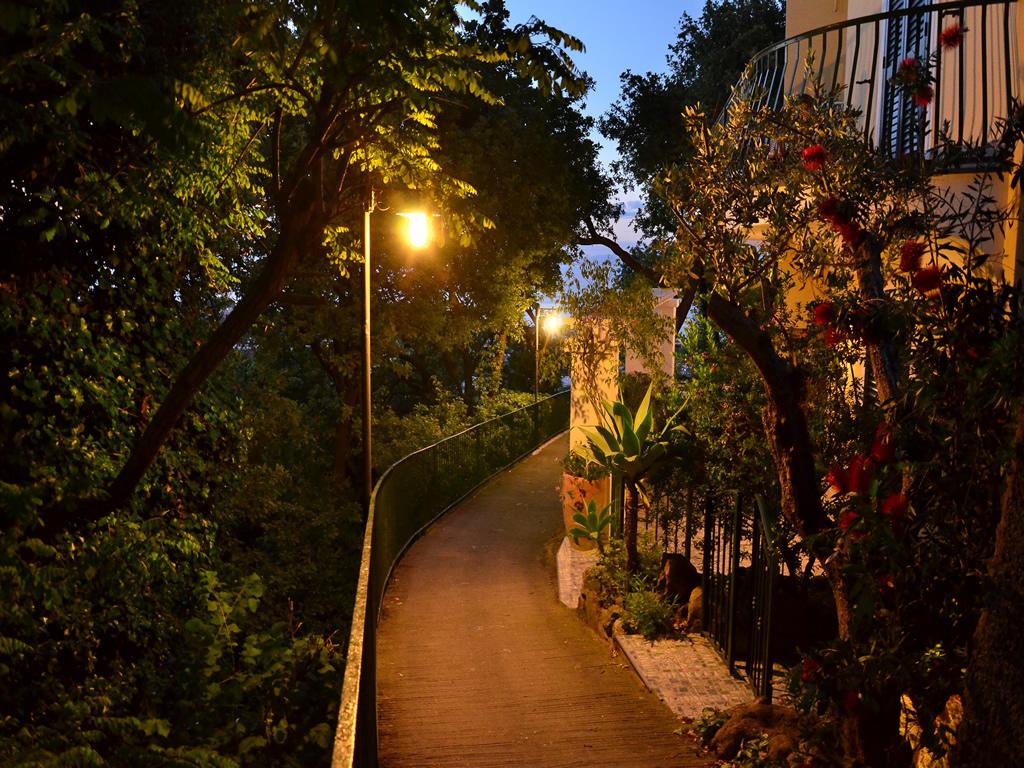 La Capannina - Hotel & Apartments Ischia Dış mekan fotoğraf