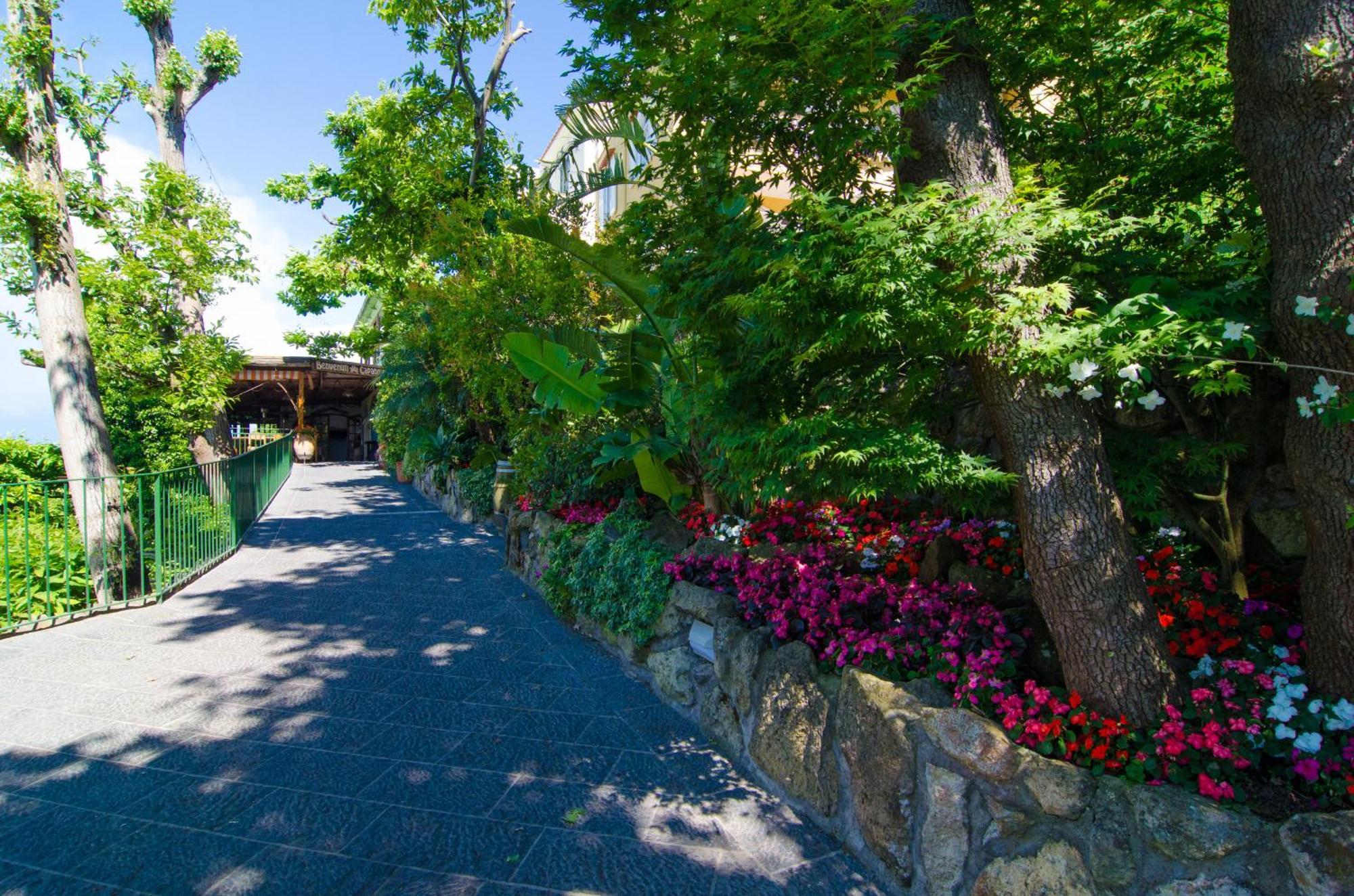 La Capannina - Hotel & Apartments Ischia Dış mekan fotoğraf