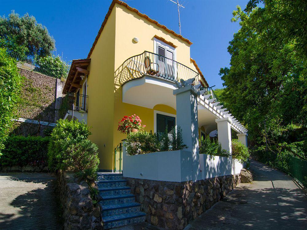 La Capannina - Hotel & Apartments Ischia Dış mekan fotoğraf